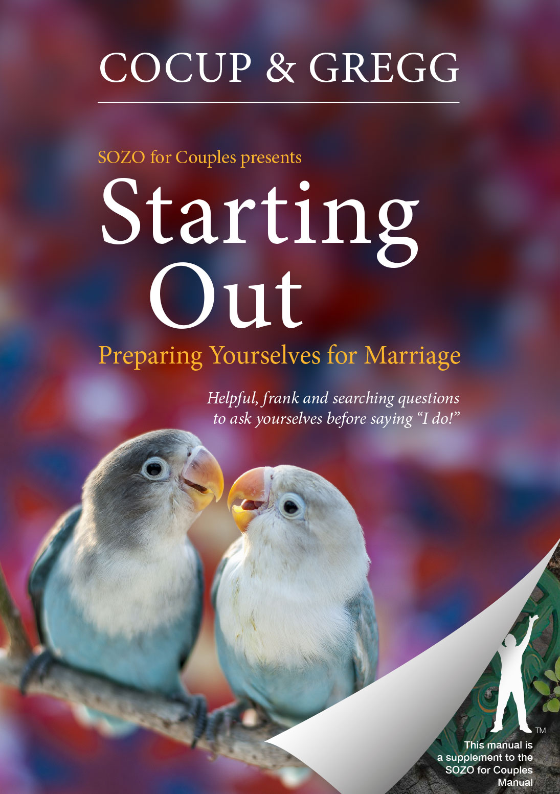 Starting Out, Preparing Yourself for Marriage. book cover